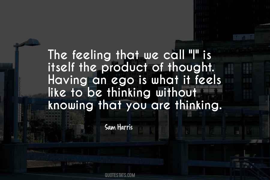 Quotes About Having An Ego #1789804
