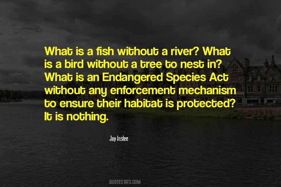 What Is An Quotes #1011004