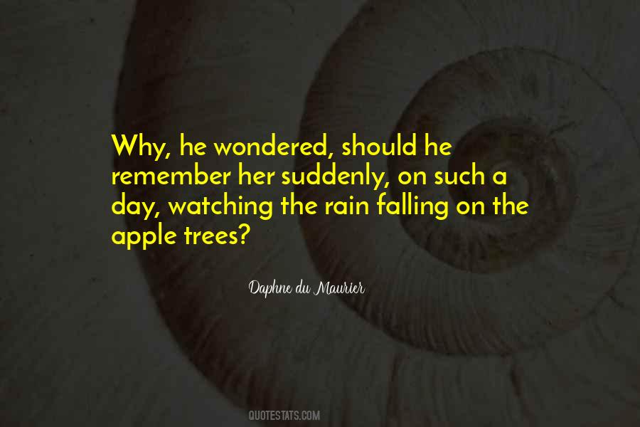 Falling Rain Quotes #1015342