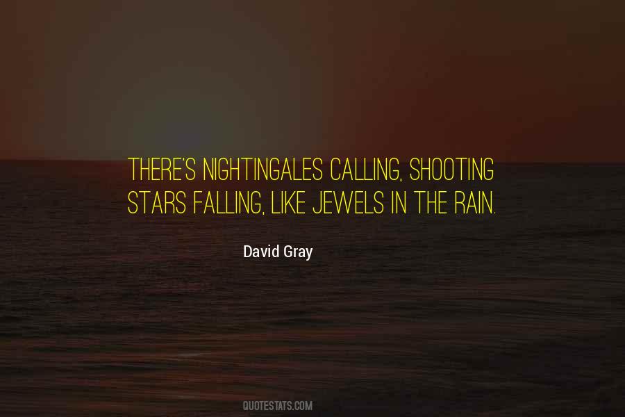 Falling Rain Quotes #1400624