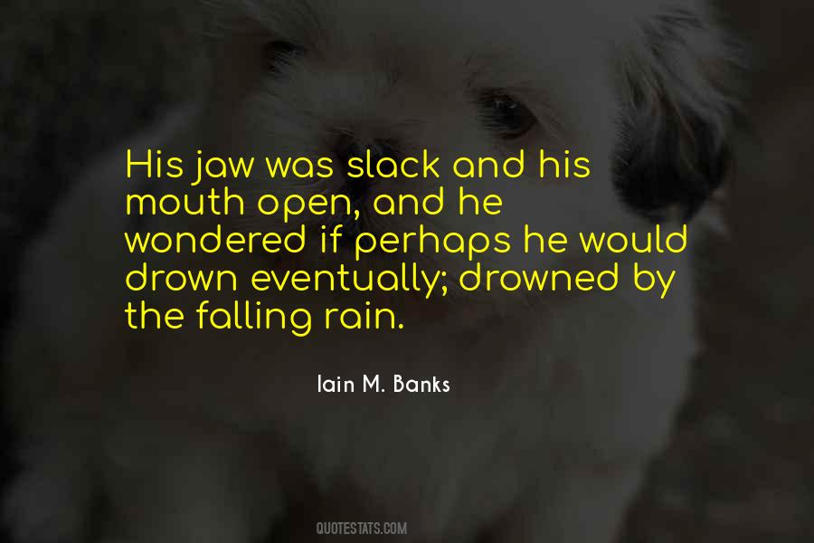 Falling Rain Quotes #1793742