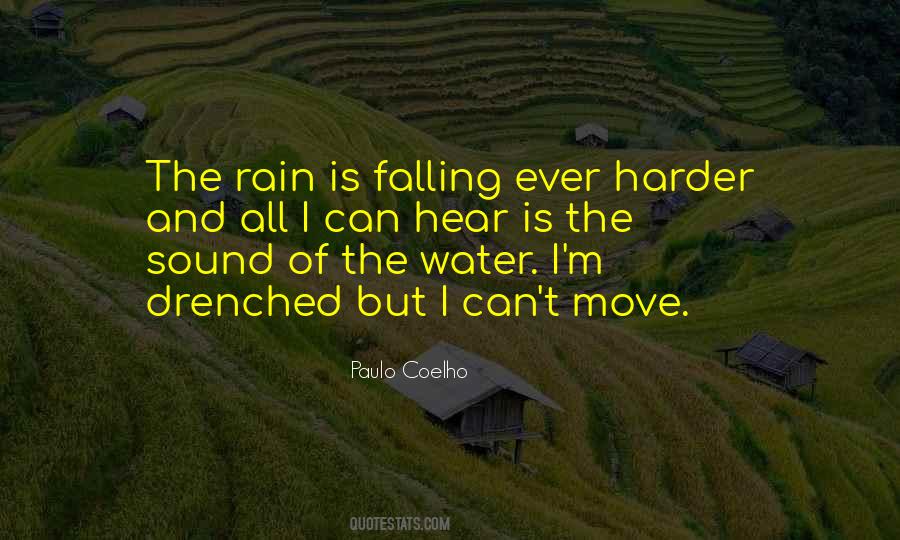 Falling Rain Quotes #1835670