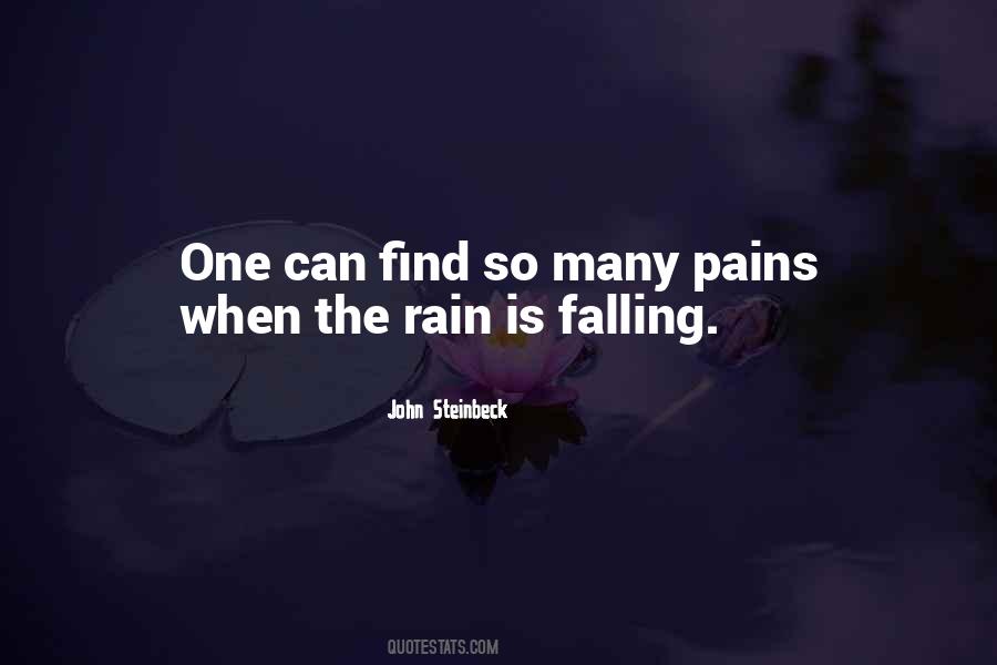 Falling Rain Quotes #338637