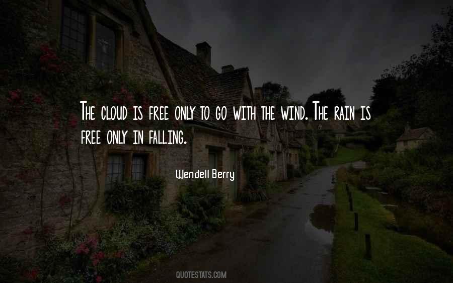 Falling Rain Quotes #64277