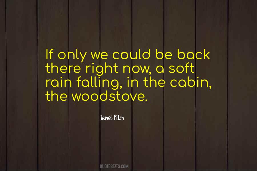 Falling Rain Quotes #660200