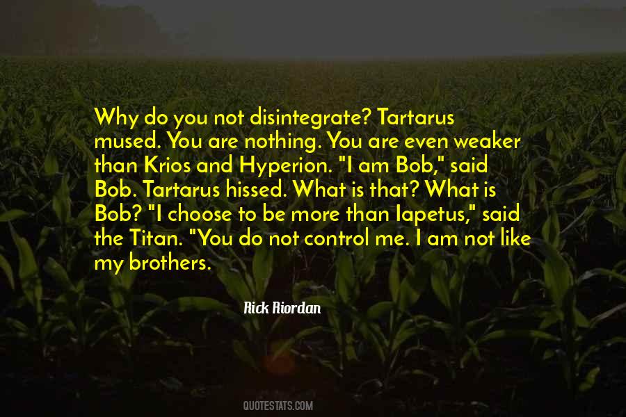 Why Do You Like Me Quotes #1485199