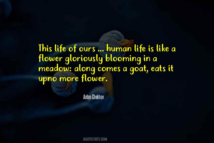 Life Flower Quotes #1410029