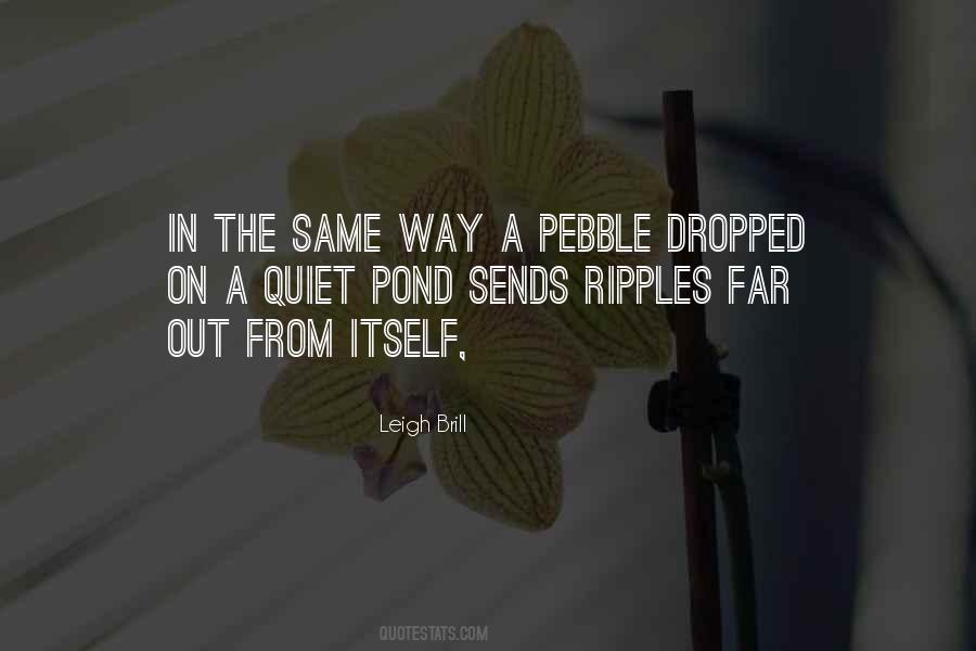 Pebble In A Pond Quotes #1352456