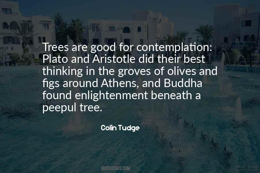 Aristotle And Plato Quotes #910039