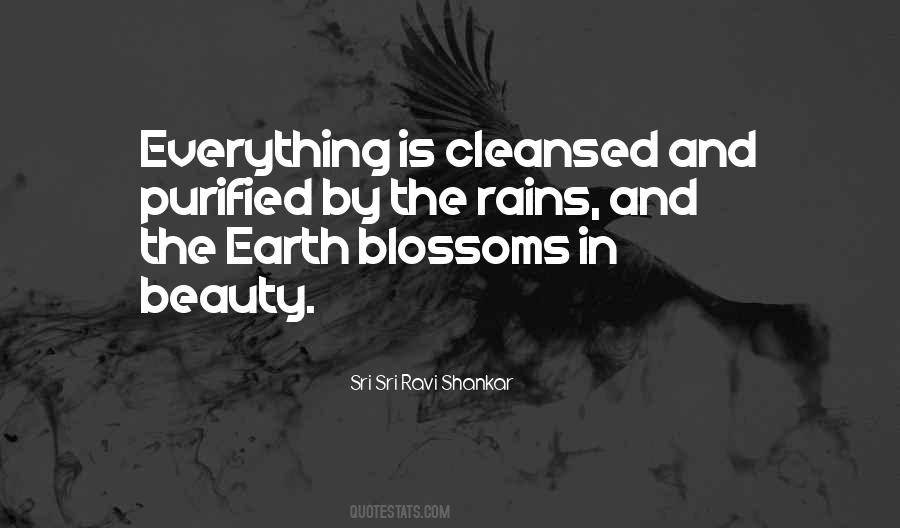 Beauty Is In Everything Quotes #268209