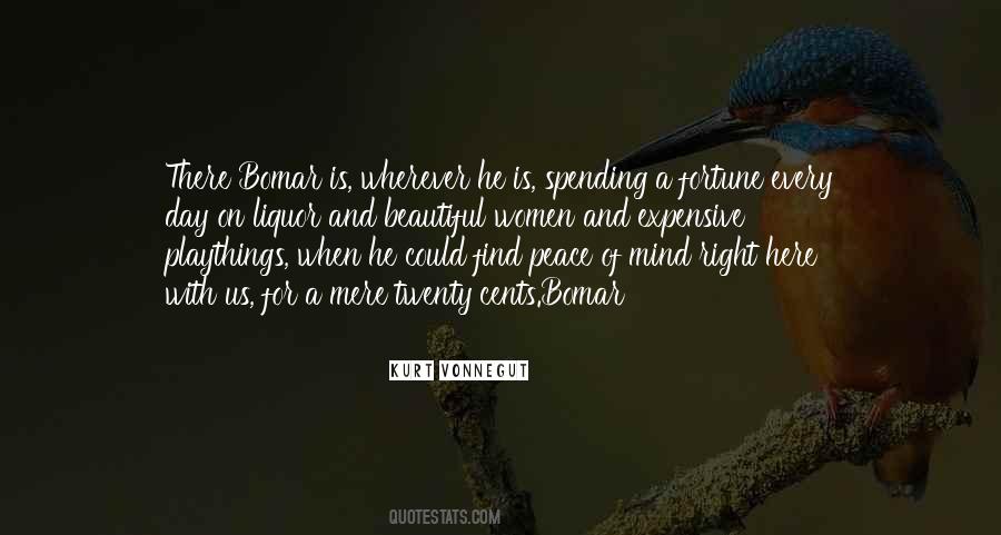 A Peace Of Mind Quotes #33887