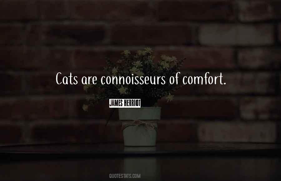 Cats Comfort Quotes #1540068