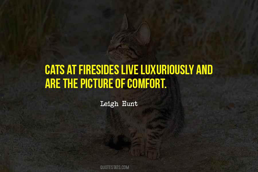 Cats Comfort Quotes #1851067
