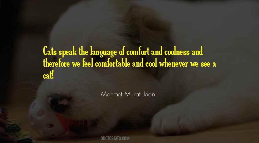 Cats Comfort Quotes #186287