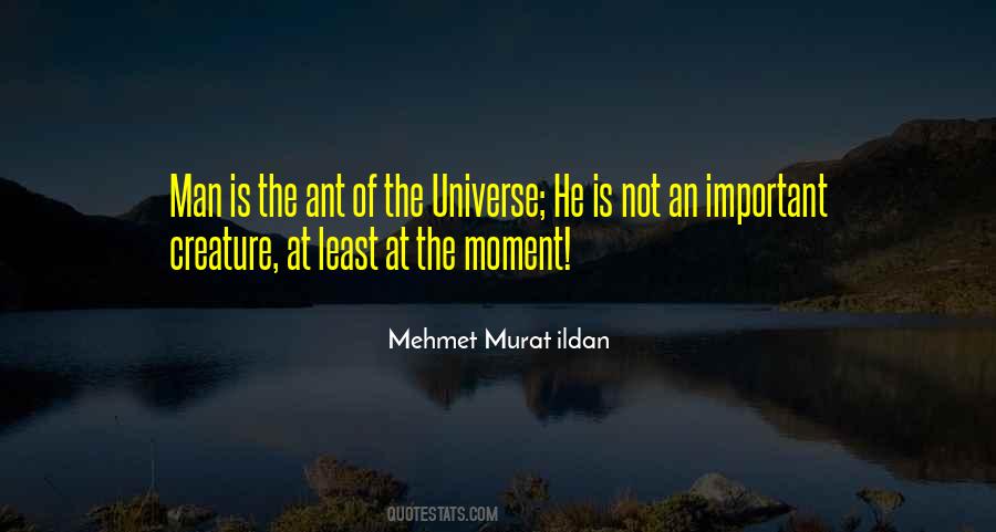 Quotes About Important Moment #497166