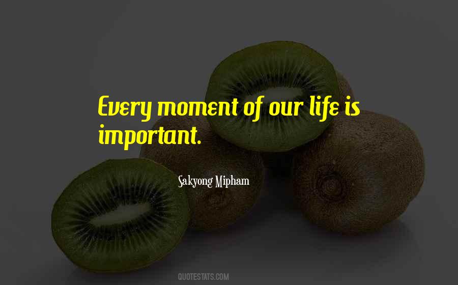 Quotes About Important Moment #817392
