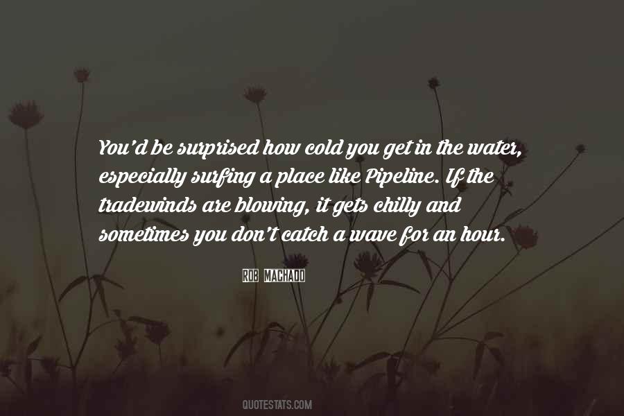 Catch A Wave Quotes #1802898