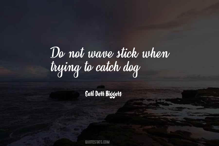 Catch A Wave Quotes #81808
