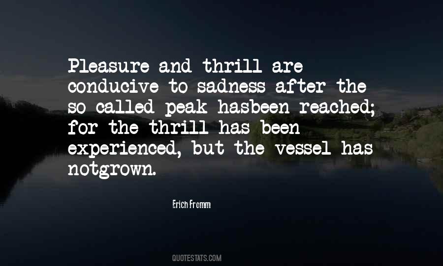 No More Sadness Quotes #10505