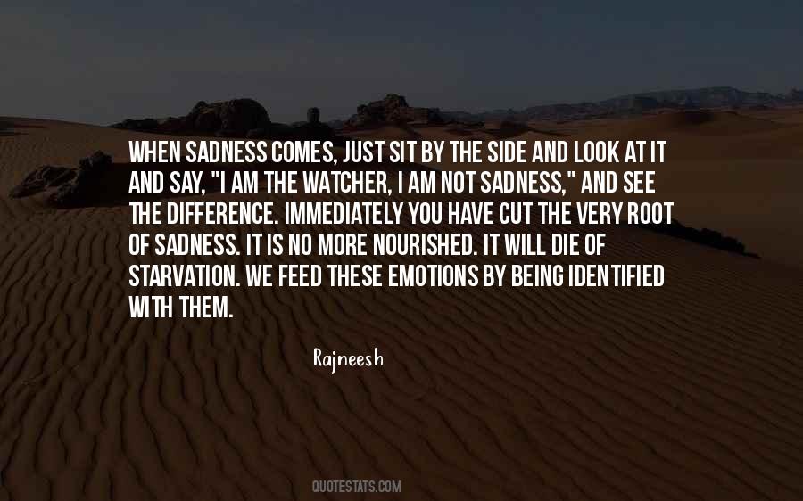 No More Sadness Quotes #1778005