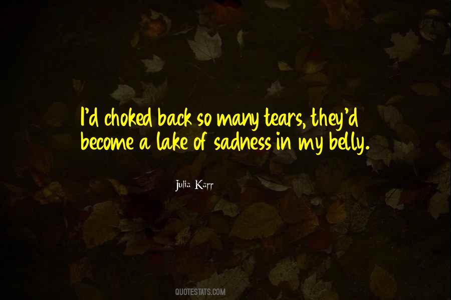 No More Sadness Quotes #26684