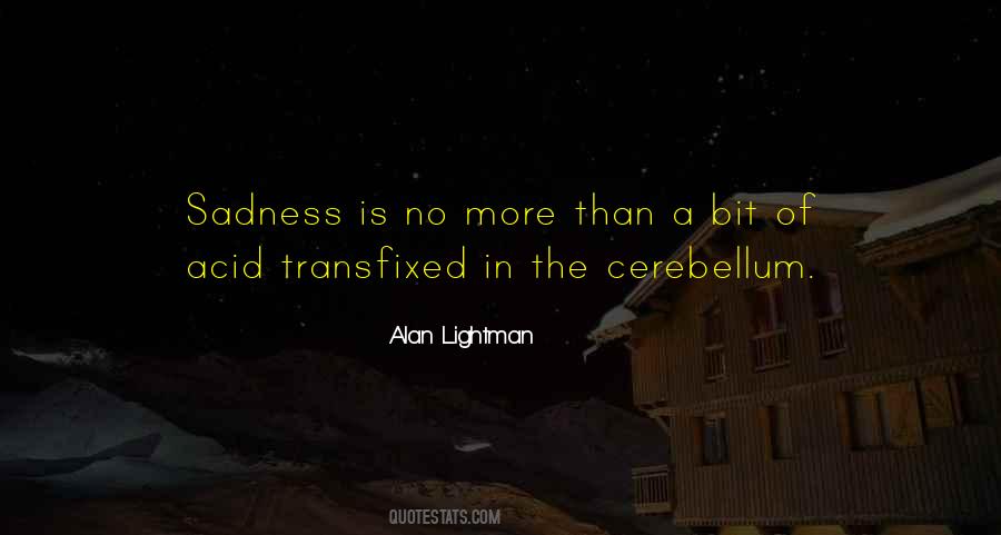 No More Sadness Quotes #984888