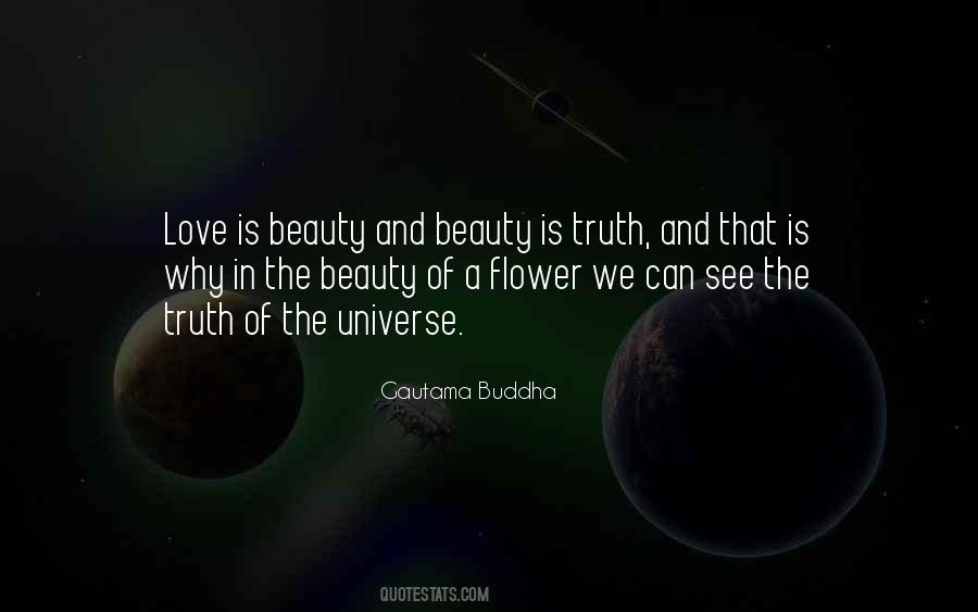 Quotes About The Beauty Of The Universe #1191583