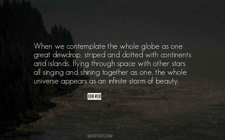Quotes About The Beauty Of The Universe #889681