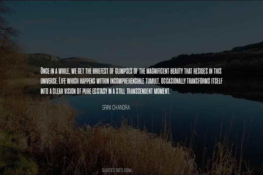 Quotes About The Beauty Of The Universe #909241