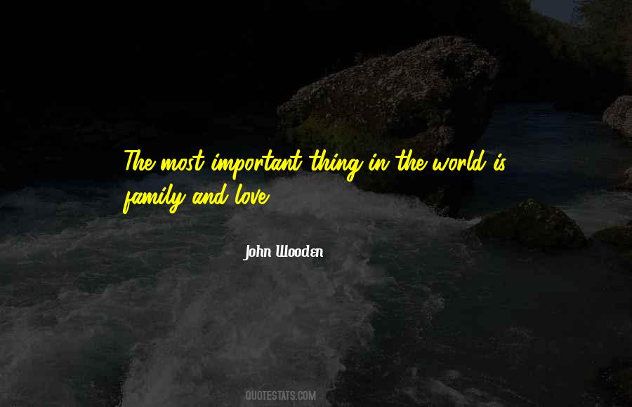 Family Is More Important Than Love Quotes #97094