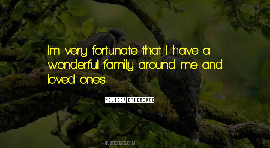 Family Is Wonderful Quotes #118797