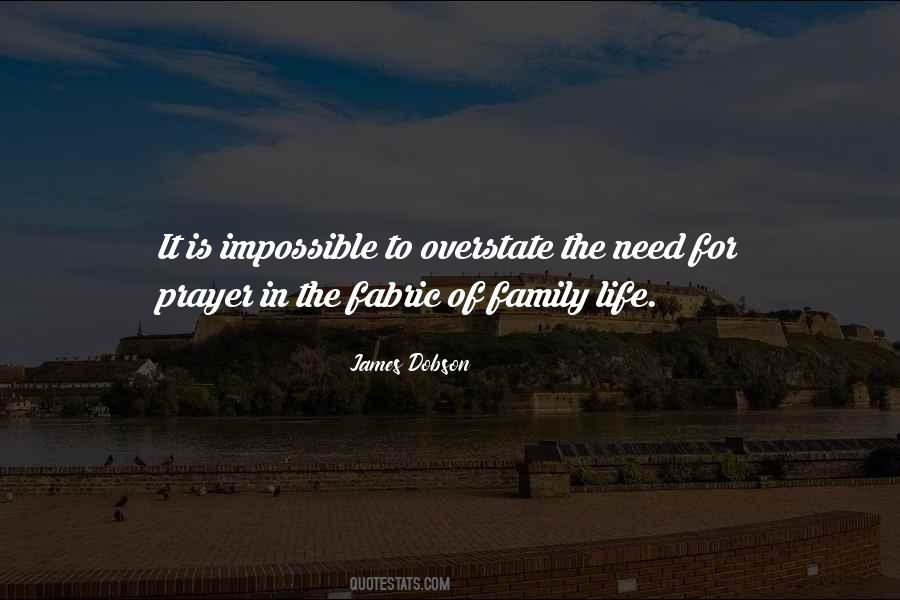 Family Needs Quotes #710686