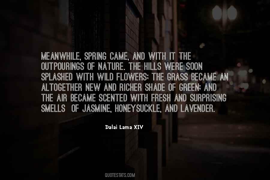 Nature Green Quotes #653251