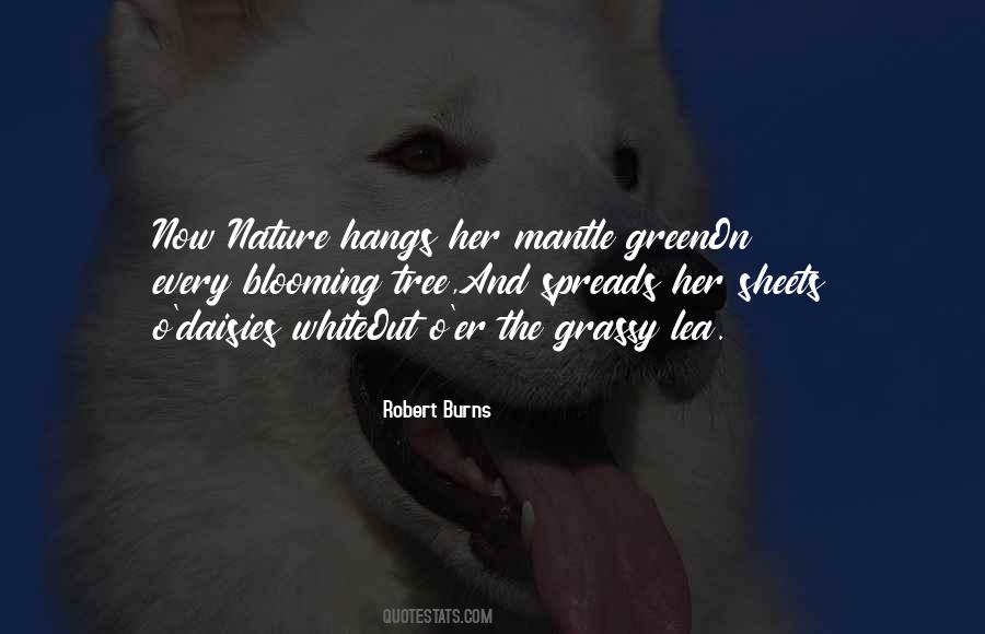 Nature Green Quotes #742863