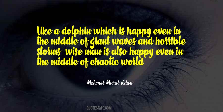 In A Chaotic World Quotes #1033401
