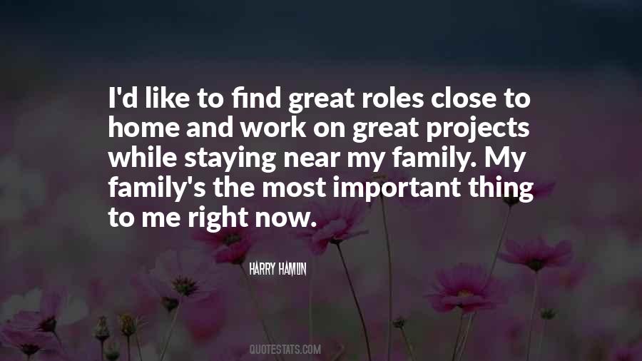 Family Roles Quotes #1370057