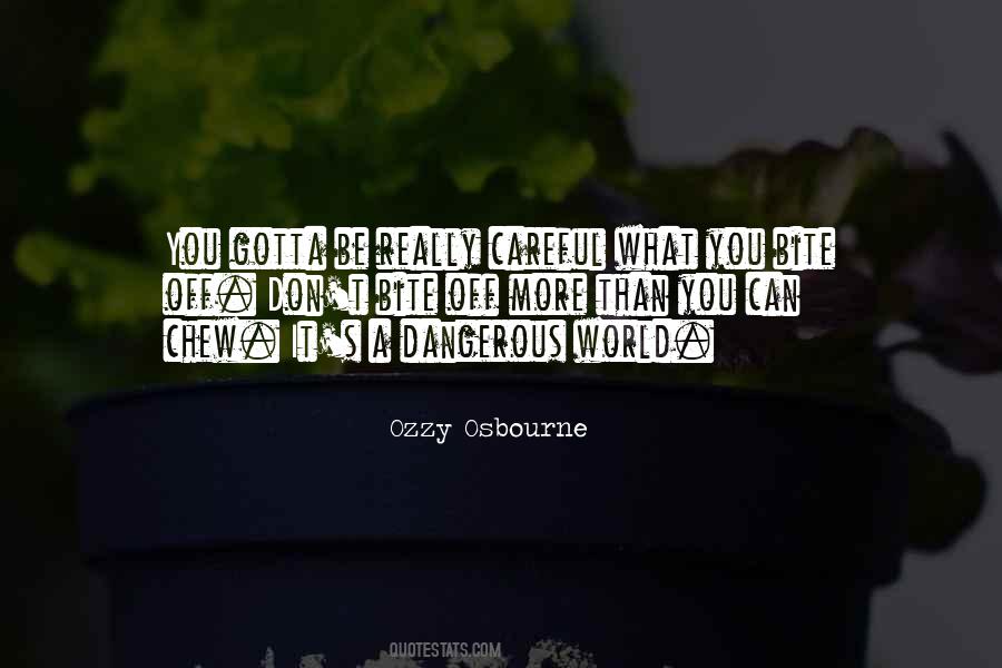 Bite Off More Than One Can Chew Quotes #1037837