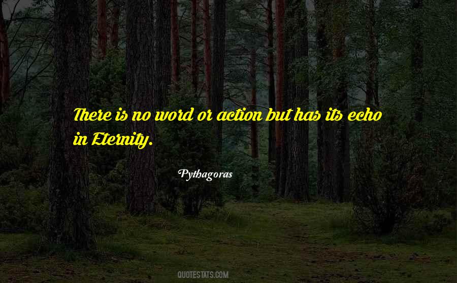 Echo In Eternity Quotes #1385107