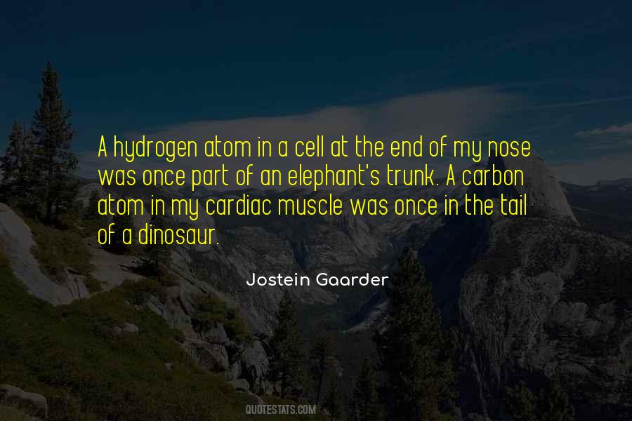 My Evolution Quotes #1221321