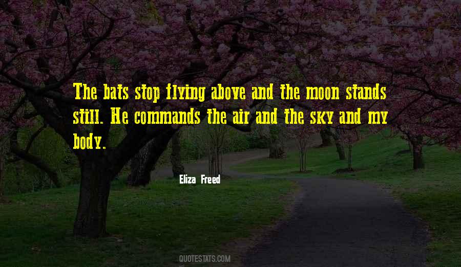 Quotes About The Joy Of Flying #20774