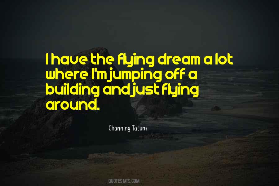 Quotes About The Joy Of Flying #54208