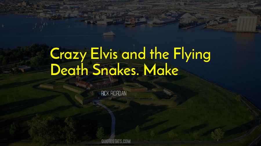 Quotes About The Joy Of Flying #81398
