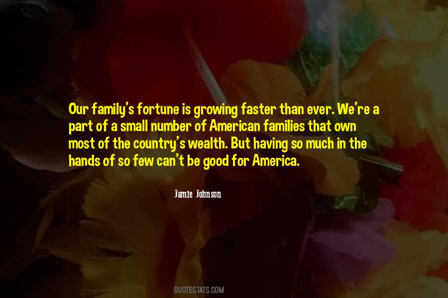 Family Wealth Quotes #212511