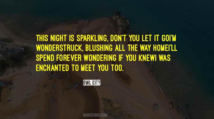 Enchanted To Meet You Quotes #1263140