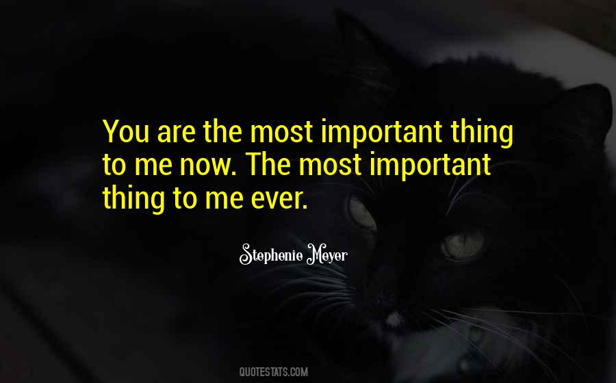 Most Important Thing Love Quotes #266089