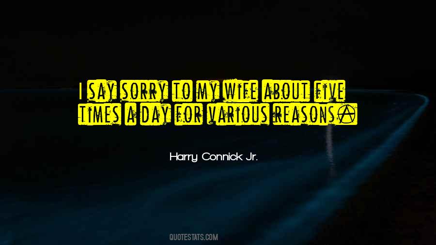 Say Sorry To My Wife Quotes #1831080