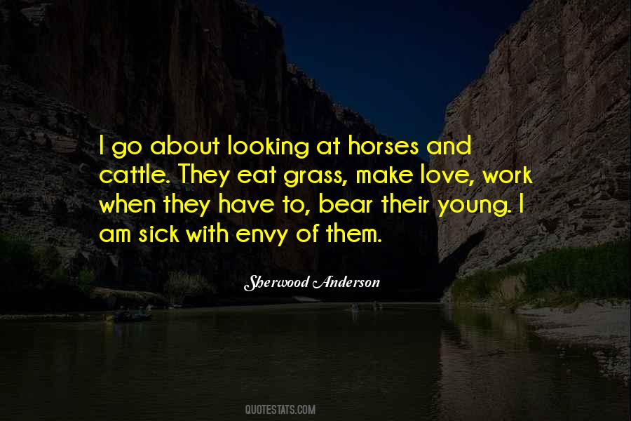 Quotes About Horses Love #166162