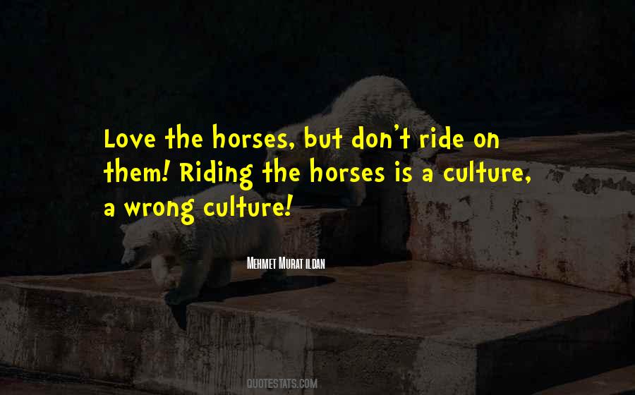 Quotes About Horses Love #806154