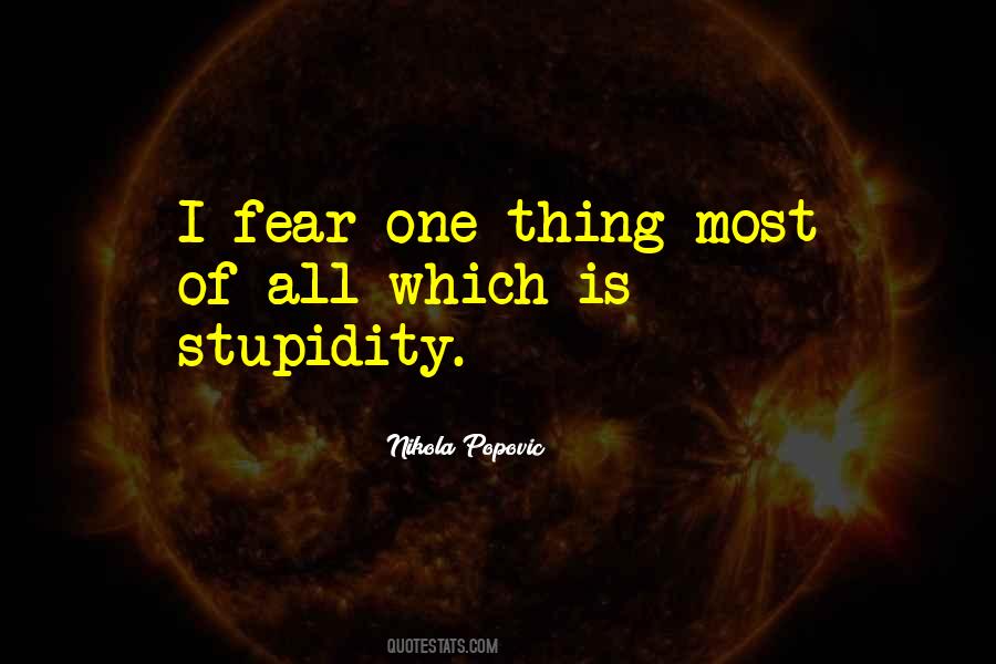 Fear Stupidity Quotes #951041