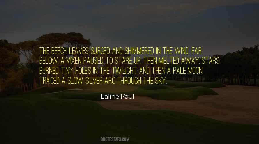 Stars Are Holes In The Sky Quotes #1543970